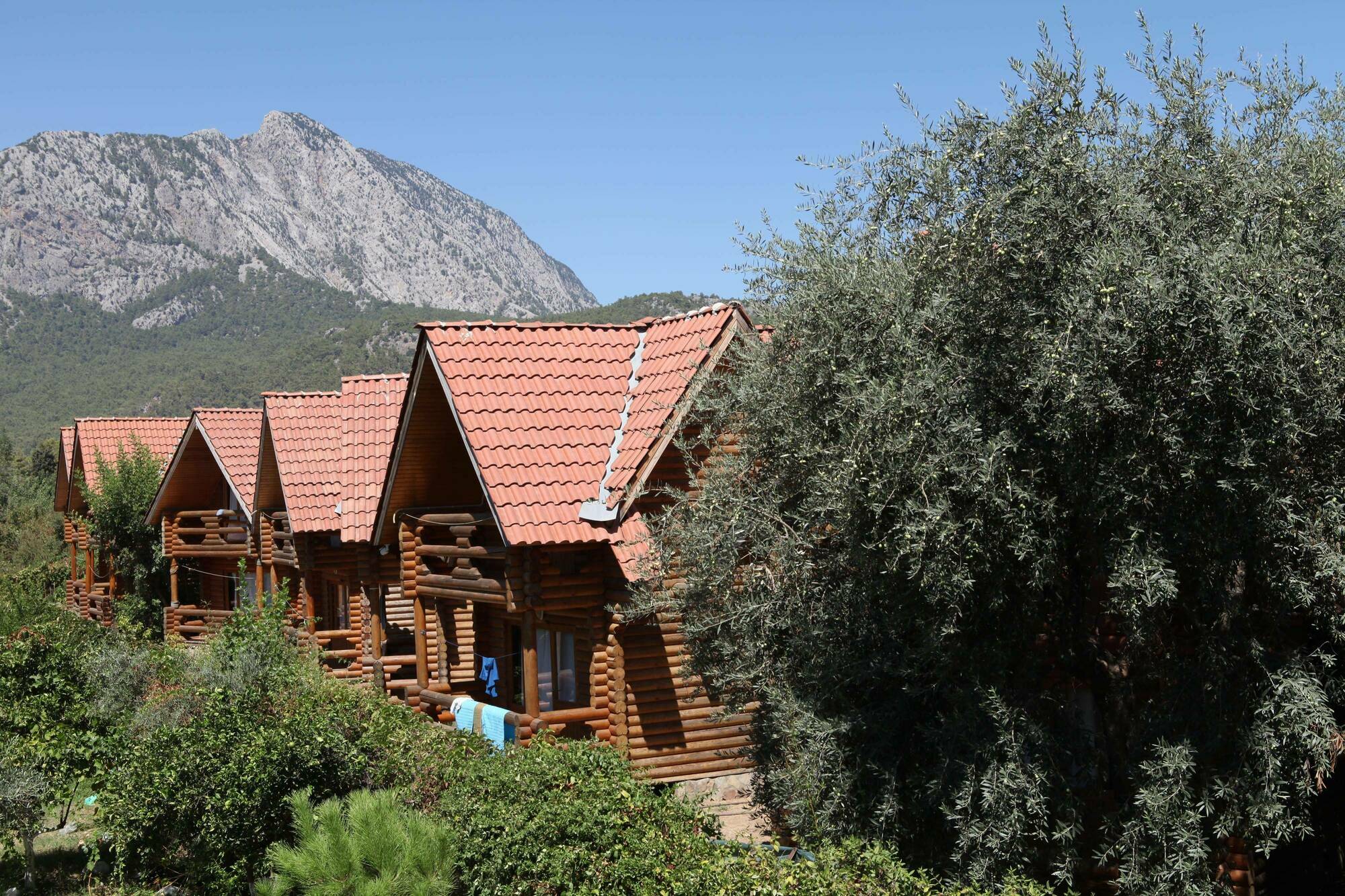 Woodline Hotel Göynük Kültér fotó